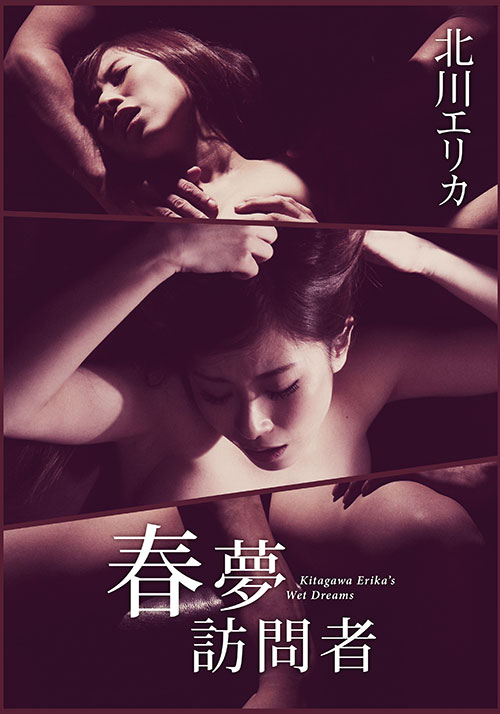 春夢(mèng)訪問(wèn)者(全集)