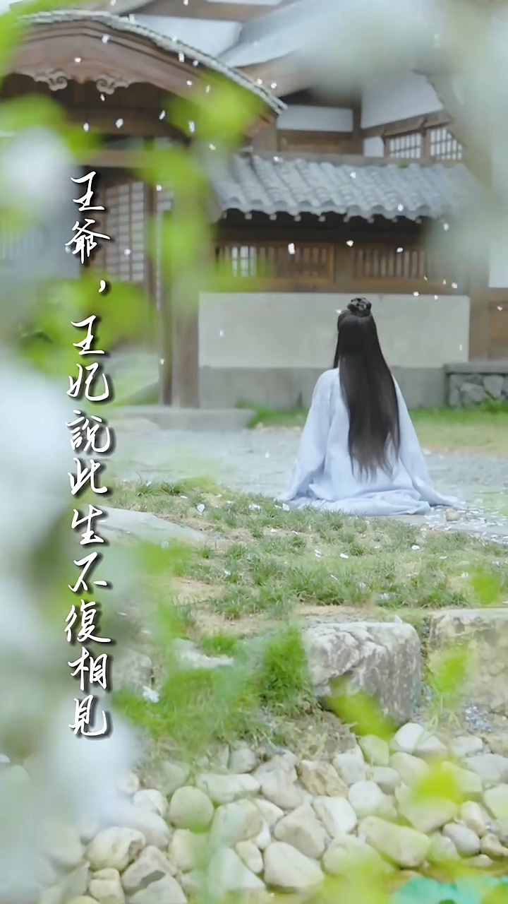 王爺，王妃說此生不復(fù)相見(全集)