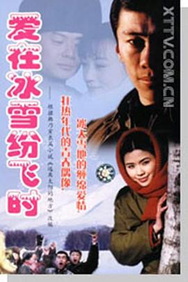 愛(ài)在冰雪紛飛時(shí) 第01集