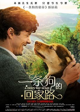 一條狗的回家路 HD中字