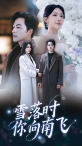 雪落時(shí)你向南飛(全集)