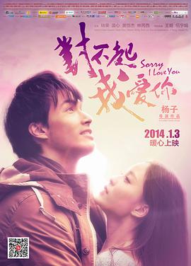 對不起，我愛你2014