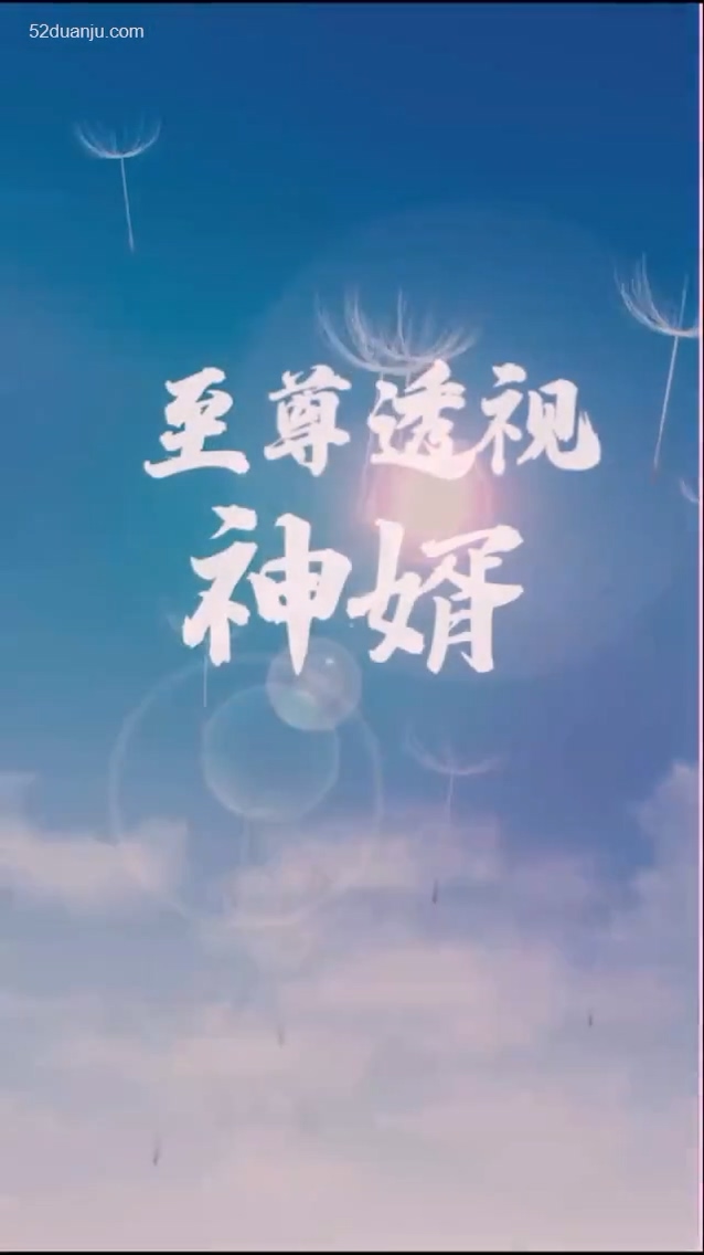 至尊透視神婿合集版 第01集(大結(jié)局)