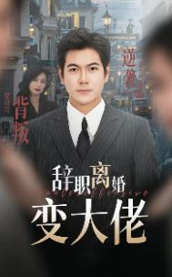辭職離婚變大佬 第01集